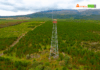 Aglomerados Cotopaxi reduce en más del 90% el impacto de los incendios forestales