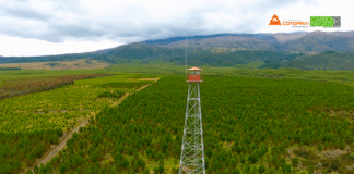 Aglomerados Cotopaxi reduce en más del 90% el impacto de los incendios forestales
